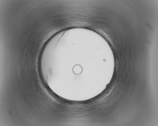 X0000111630581200908281136