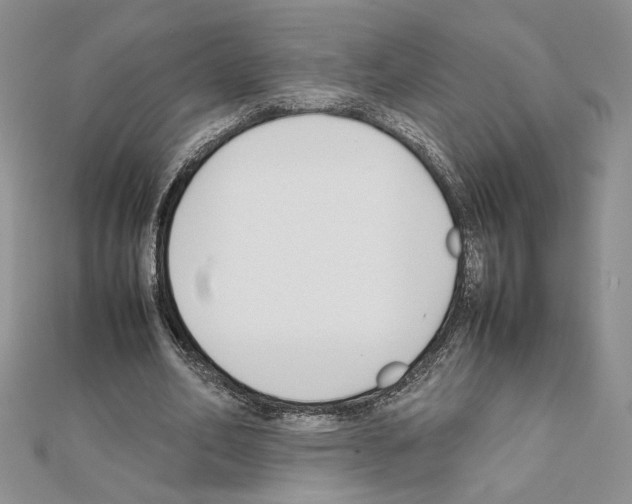 X0000111630582200908281136