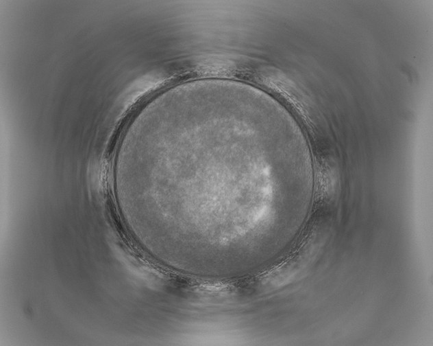 X0000111630583200908281136