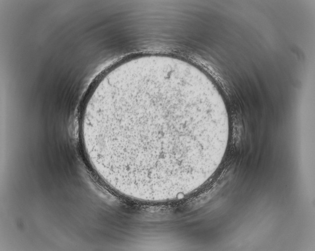 X0000111630584200908281136
