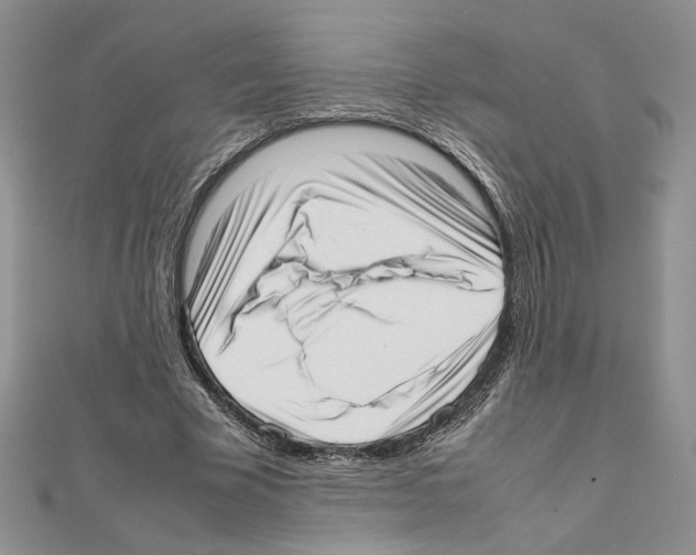 X0000111630585200908281136