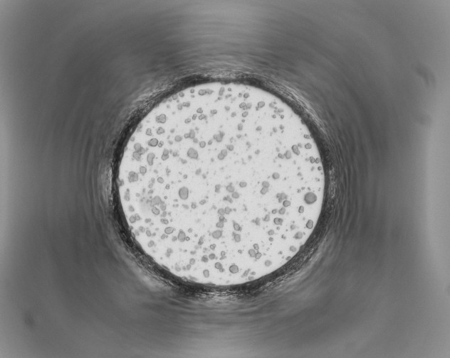 X0000111630589200908281136