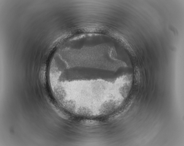 X0000111630590200908281136
