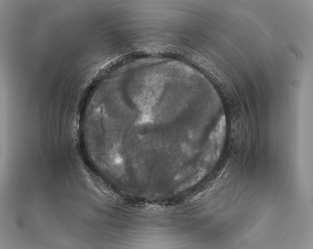 X0000111630592200908281136