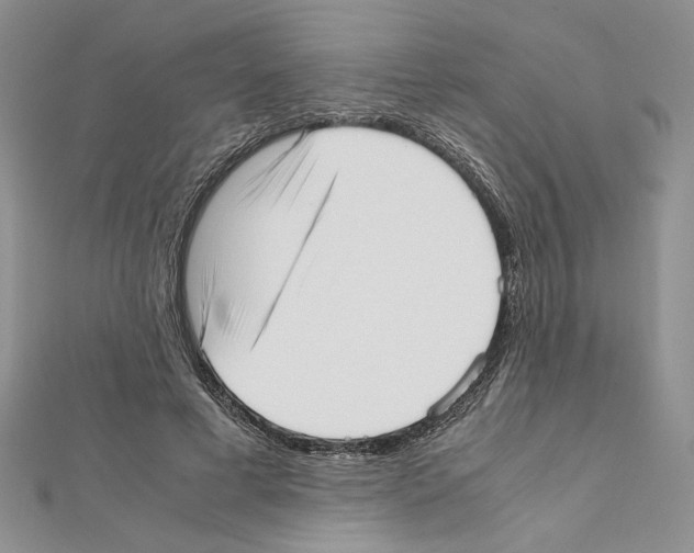 X0000111630593200908281136