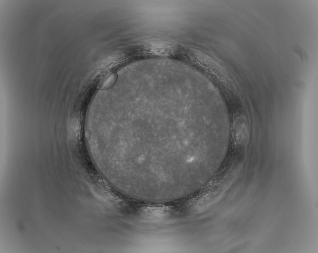 X0000111630595200908281136