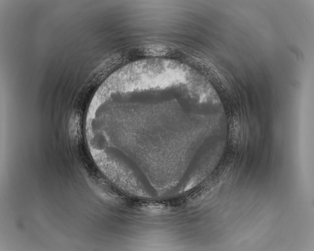 X0000111630598200908281136