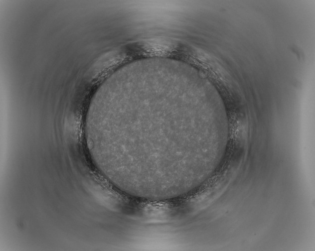 X0000111630599200908281136