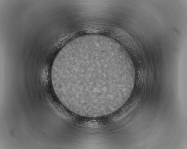 X0000111630600200908281136