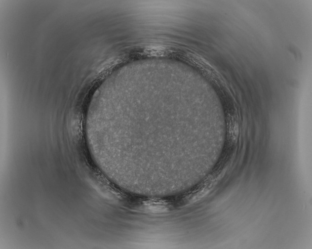 X0000111630603200908281136
