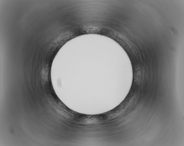 X0000111630604200908281136