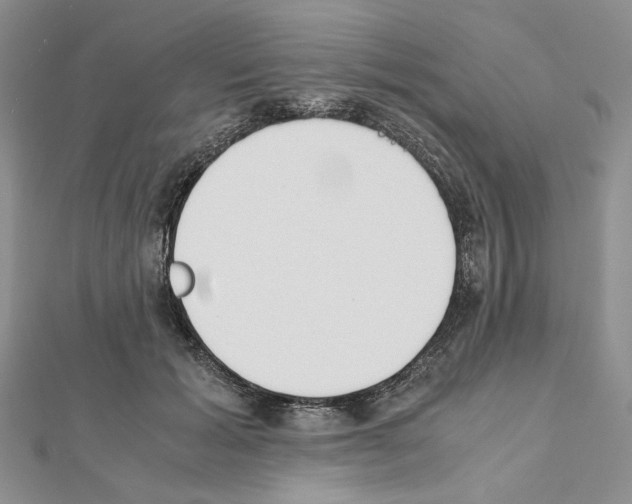 X0000111630605200908281136