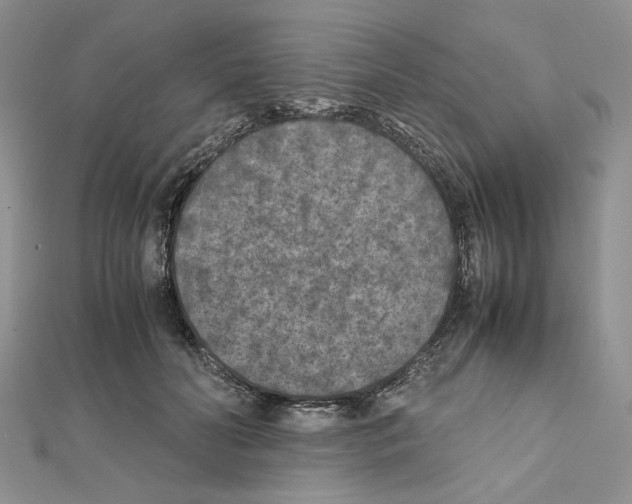 X0000111630606200908281136