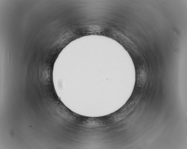 X0000111630608200908281136