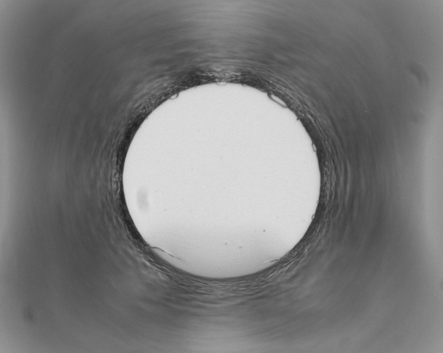 X0000111630609200908281136