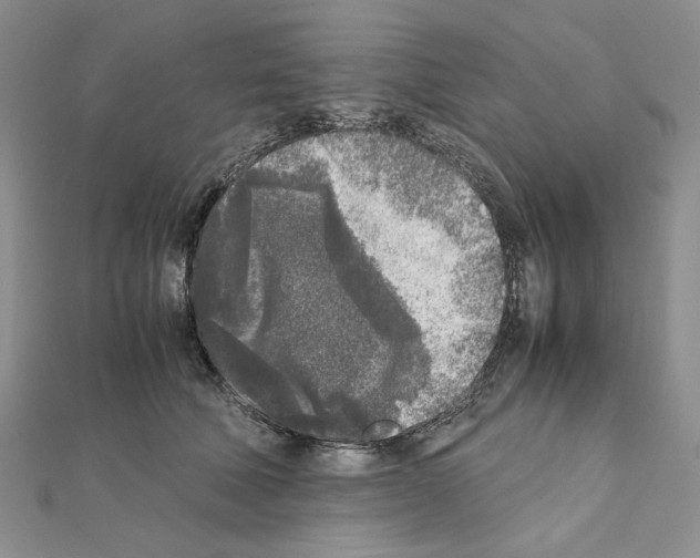 X0000111630610200908281136
