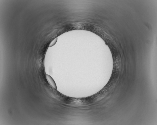 X0000111630611200908281136