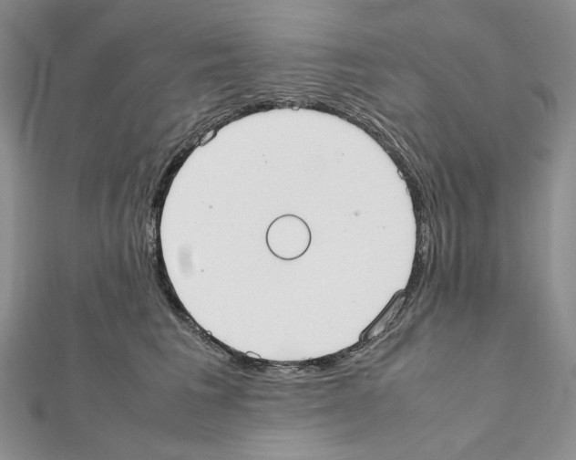 X0000111630613200908281136
