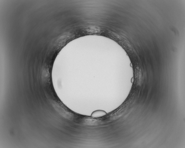 X0000111630614200908281136