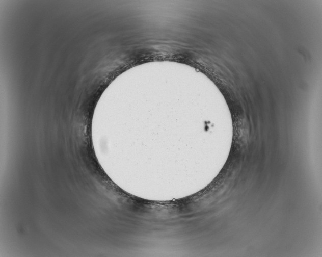 X0000111630615200908281135
