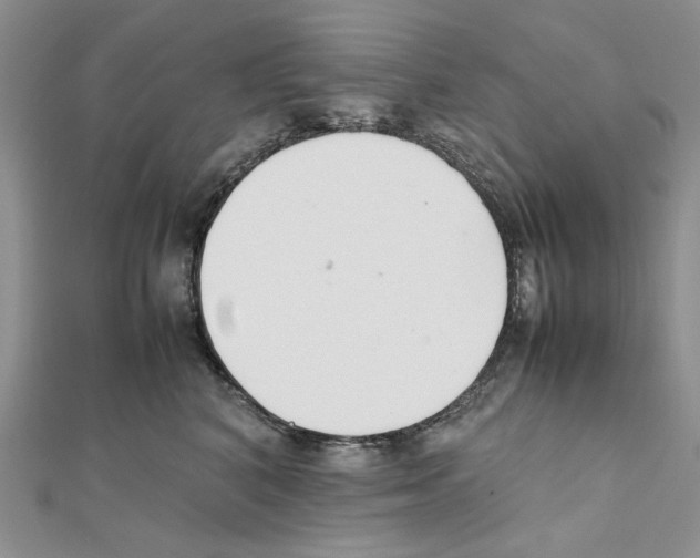 X0000111630616200908281135