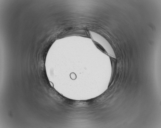 X0000111630617200908281135
