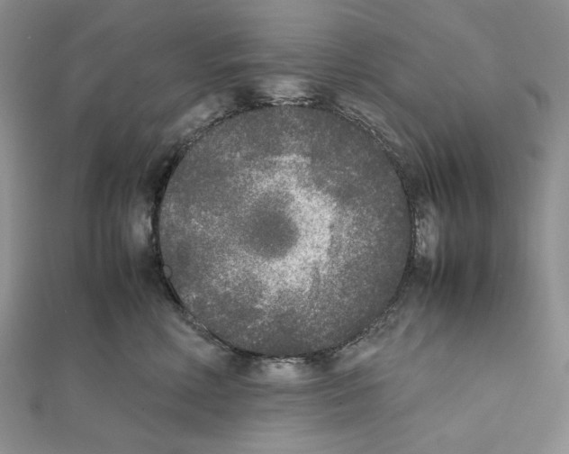 X0000111630618200908281135