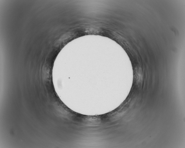 X0000111630619200908281135