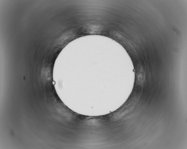 X0000111630620200908281135