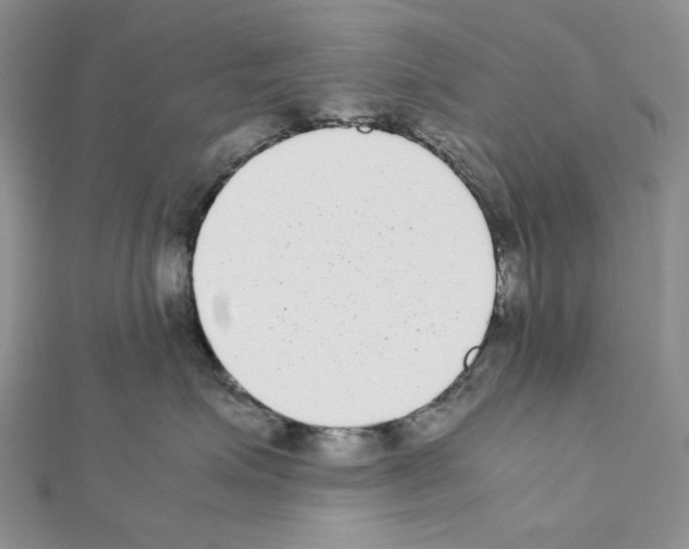 X0000111630623200908281135