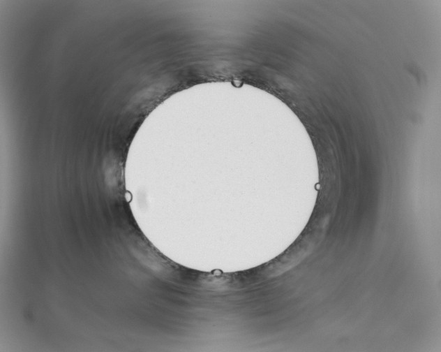 X0000111630624200908281135