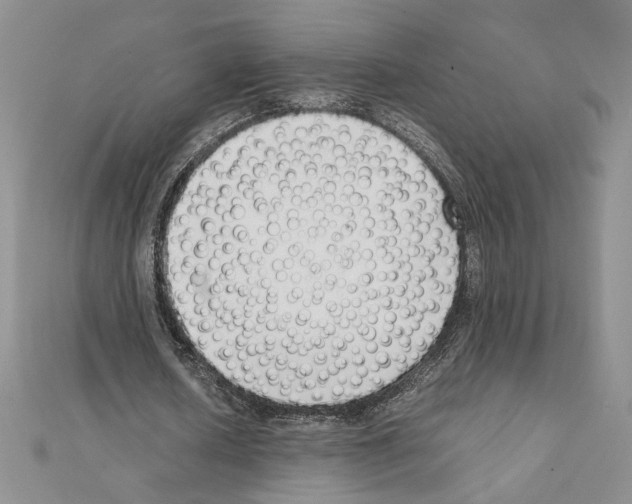 X0000111630626200908281135