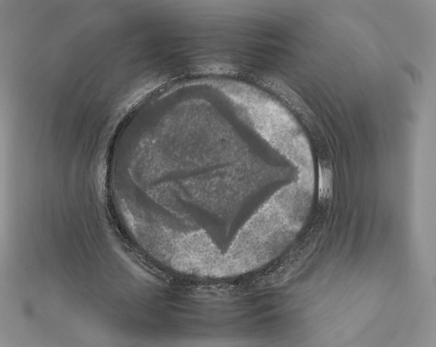 X0000111630627200908281135