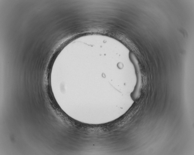 X0000111630628200908281135
