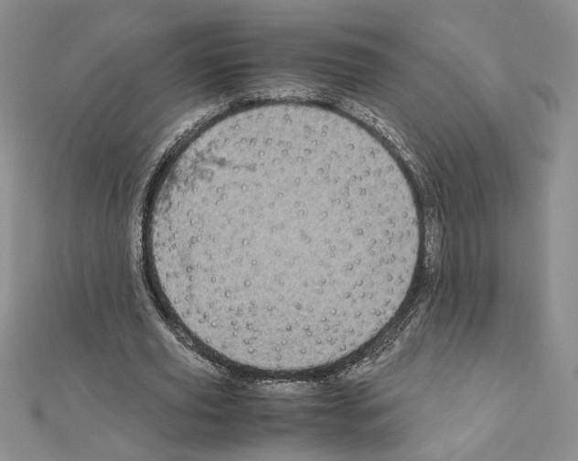 X0000111630629200908281135