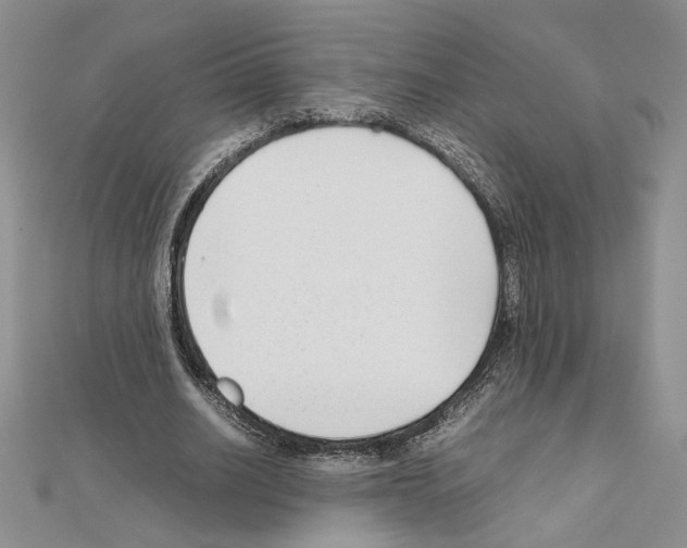 X0000111630630200908281135