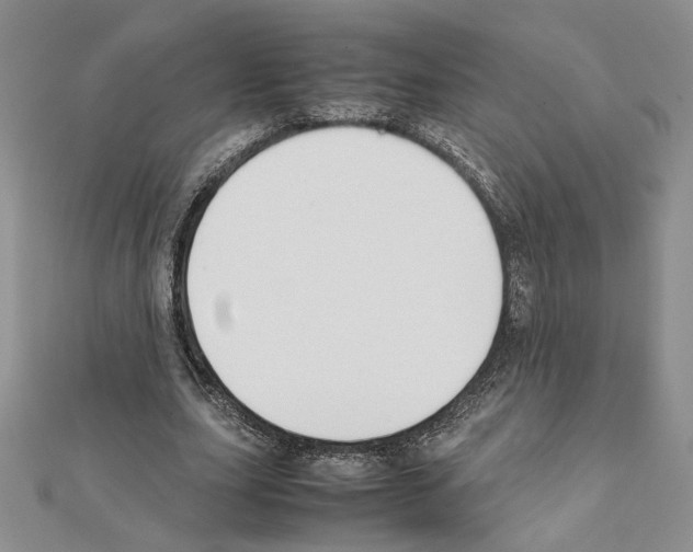 X0000111630631200908281135