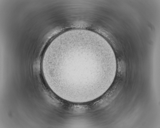 X0000111630632200908281135