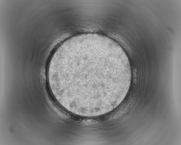 X0000111630634200908281135