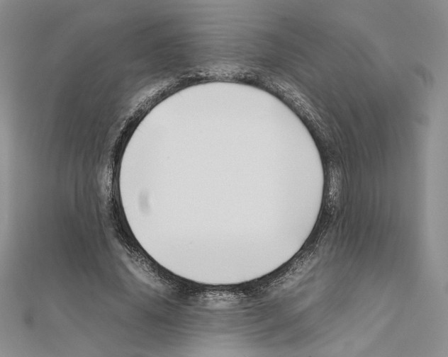 X0000111630636200908281135