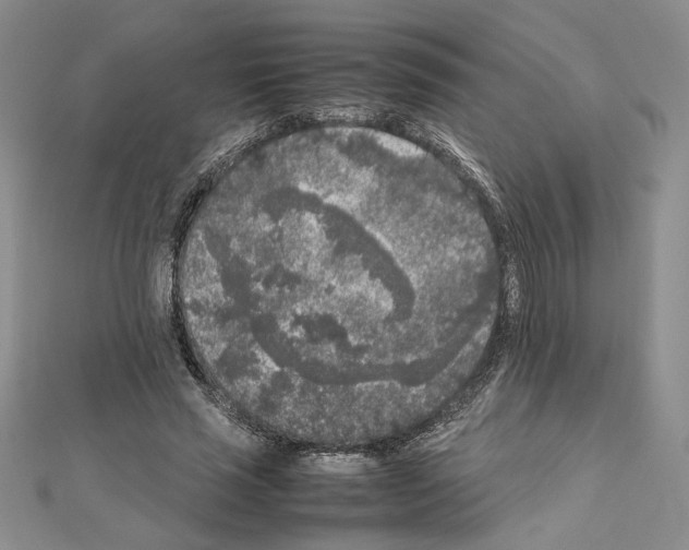 X0000111630637200908281135