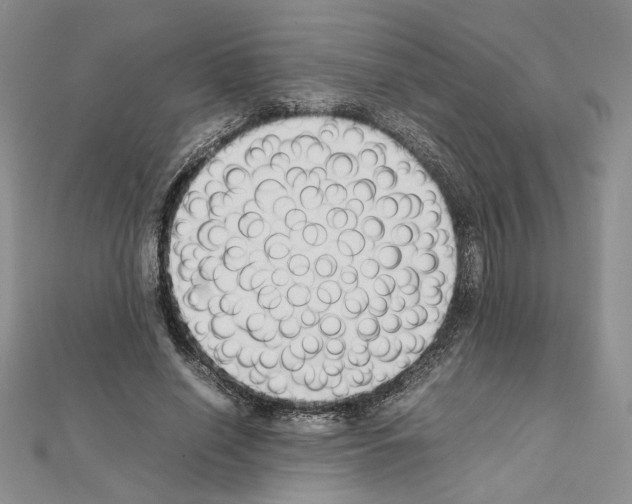 X0000111630638200908281135