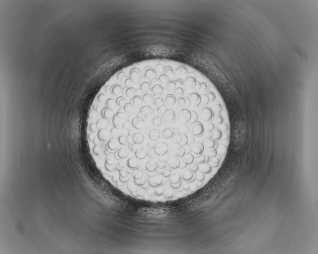 X0000111630639200908281135
