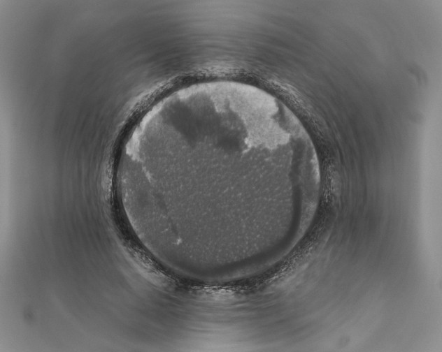 X0000111630640200908281135