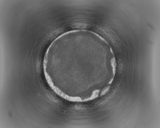 X0000111630641200908281135
