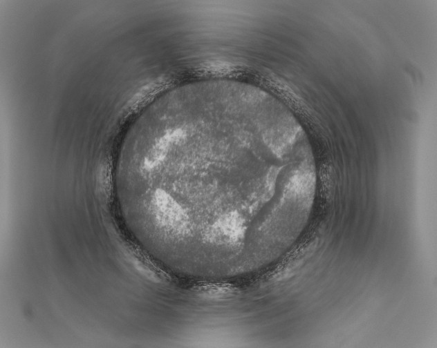 X0000111630642200908281135