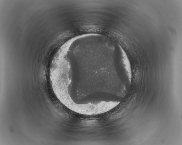 X0000111630643200908281135