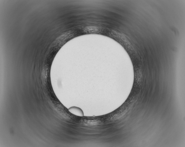 X0000111630645200908281135