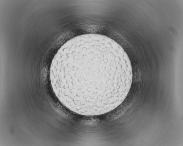 X0000111630646200908281135
