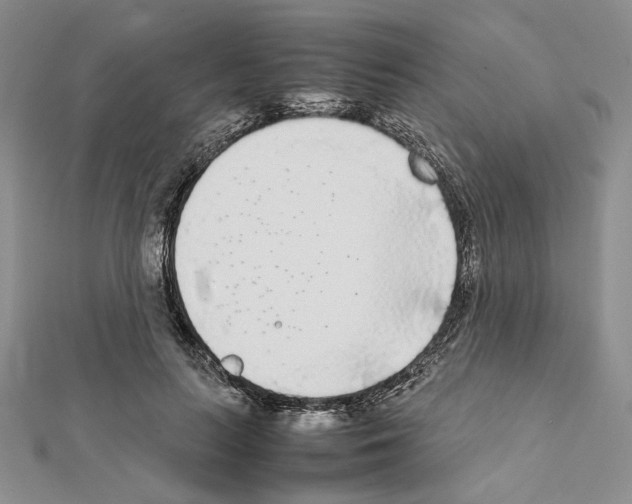 X0000111630647200908281135